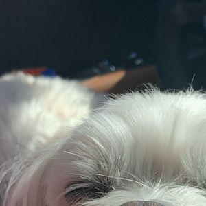 Meet your Posher, Nikki